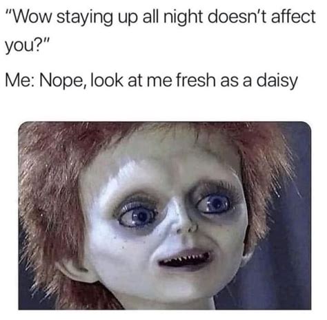 fresh as a daisy meme